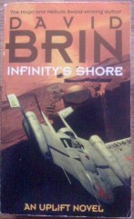 Picture of Infinity's Shore book cover