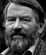 Picture of John Fowles