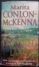 Picture of Promised Land Cover