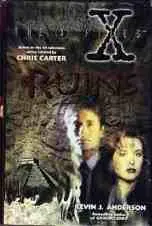 Picture of Ruins Book Cover