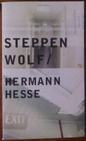 Picture of Steppenwolf Book Cover